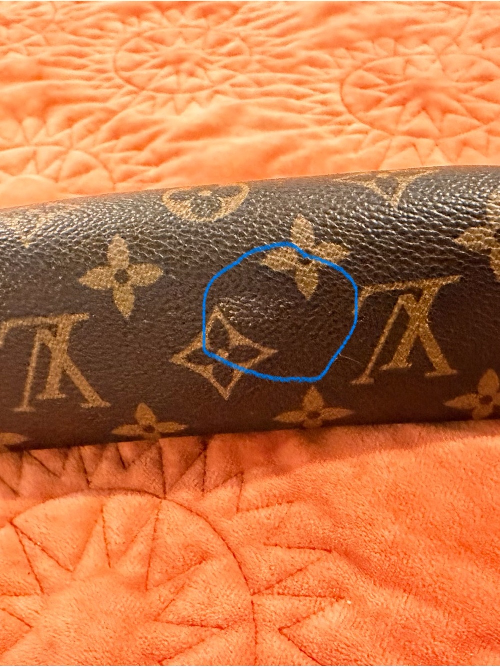 Louis Vuitton Monogram Canvas Cosmetic Pouch in Brown and Gold - Picture 3 of 11